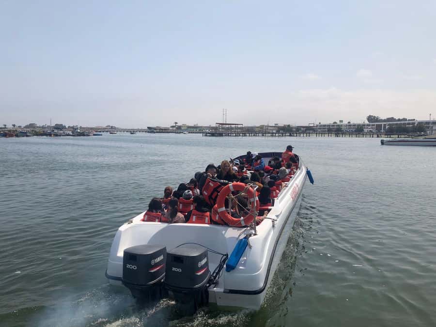 From Lima: Day Trip to Paracas, Ica & Oasis Huacachina - Why this Paracas, Ica, and Huacachina day trip actually works