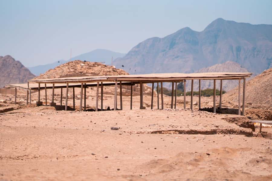 From Lima: Discover the Ancient Sites Caral & Bandurria - Guides like Roxanne and Noemí, and why the explanations change the day