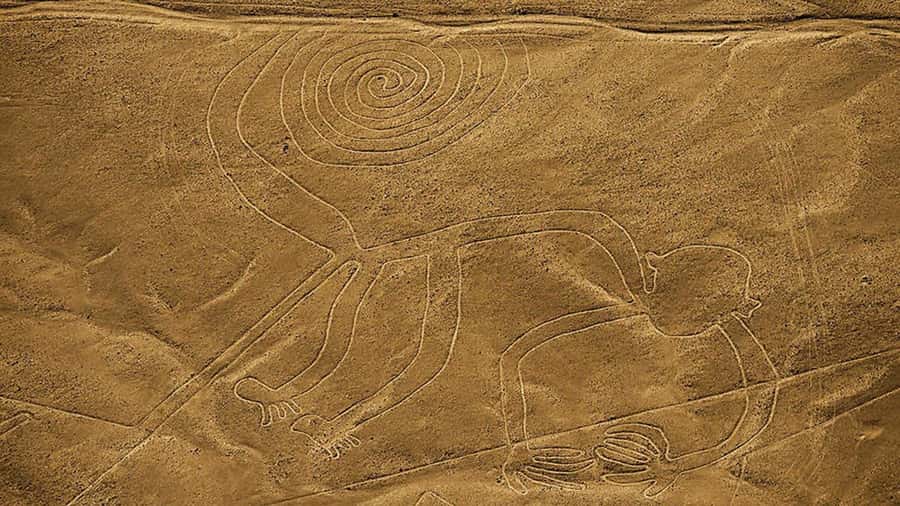 From Lima: Full day flight over in the Nazca Lines - What can go wrong, and how to keep it from ruining your day