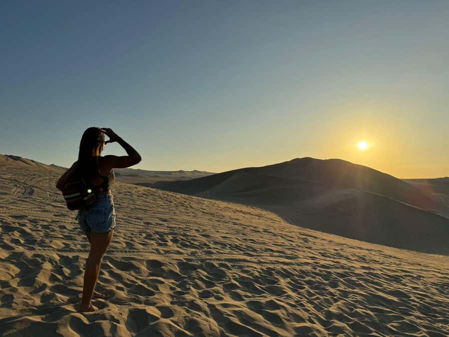 From Lima: Full Day Private All Inclusive Paracas, Ica. - Key highlights to know before you go