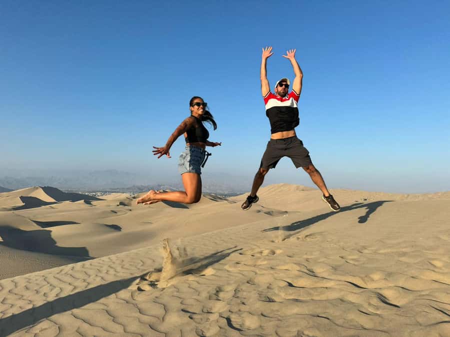 From Lima: Full Day Private All Inclusive Paracas, Ica. - Paracas Ballestas Islands Boat Ride: Wildlife You Can Spot, Plus the Candelabra