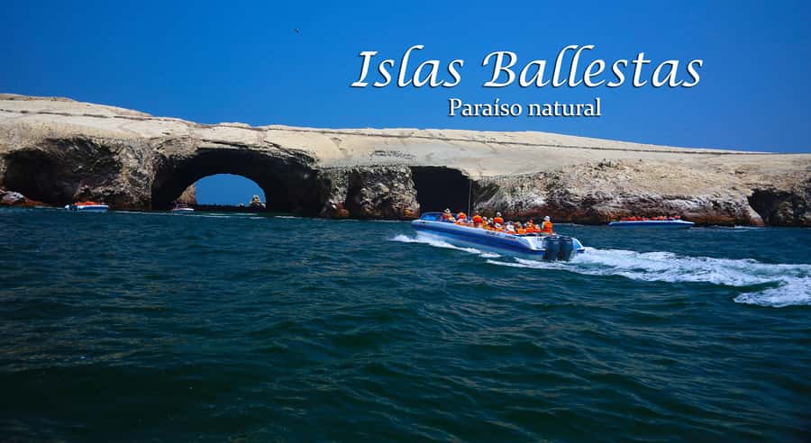 From Lima: Full Day Tour (Paracas + Huacachina) - Should you book this Lima to Paracas + Huacachina day tour?