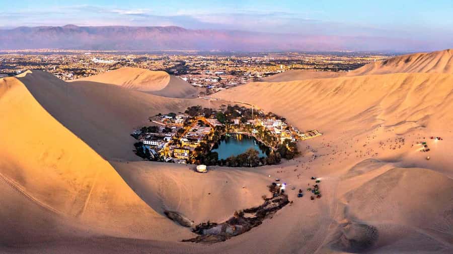 From Lima: Full Day Tour (Paracas + Huacachina) - Paracas and the Ballestas Islands boat: wildlife, cliffs, and a lot of fresh air