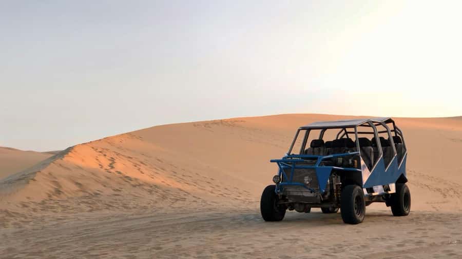 From Lima: Huacachina Oasis & Ballestas Island - ENGL / ESPA - Who should book this, and who should skip it