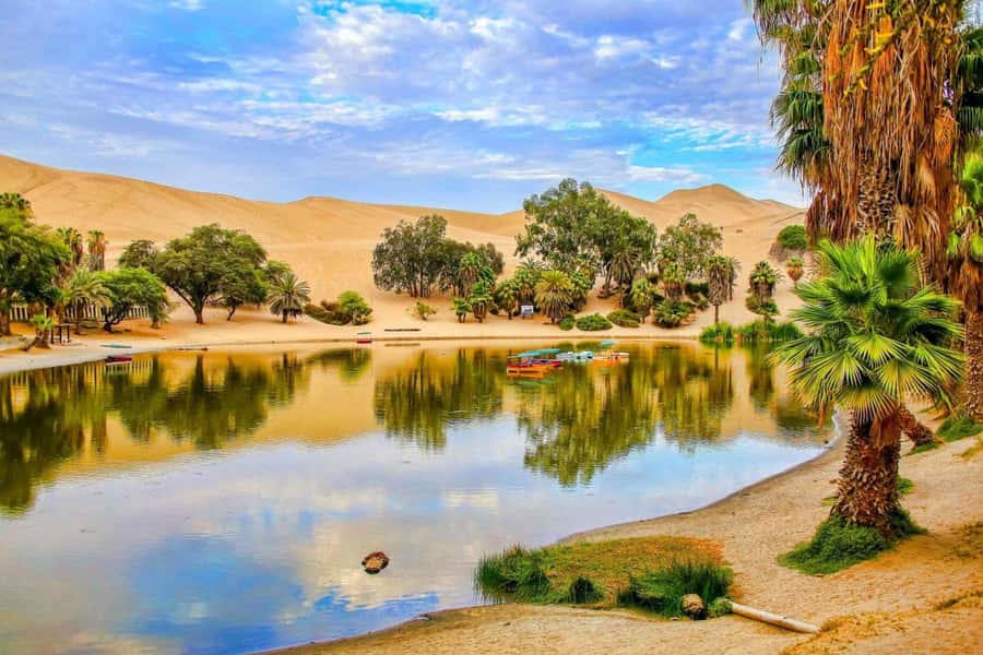 From Lima: Huacachina Oasis & Ballestas Island - ENGL / ESPA - From Miraflores to Paracas, expect a full day engine start