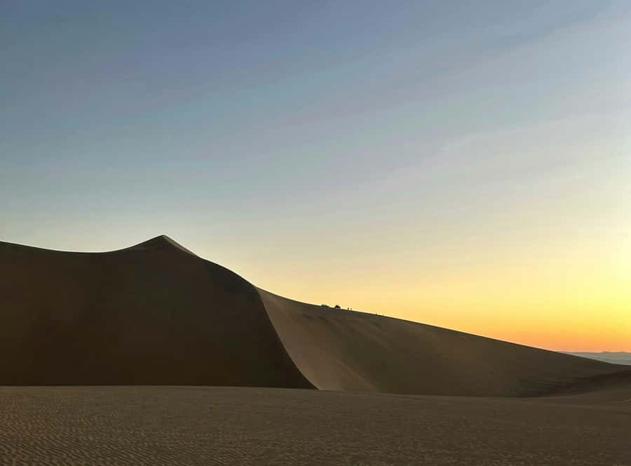 From Lima: Huacachina Oasis & Ballestas Island - ENGL / ESPA - Huacachina Oasis guided stroll, photos, and the calm before the dunes