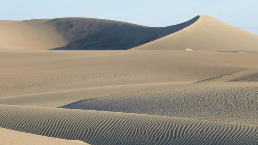 From Lima: Huacachina Oasis & Ballestas Island - ENGL / ESPA - 4WD buggy and sandboarding: the adrenaline part, timed and real