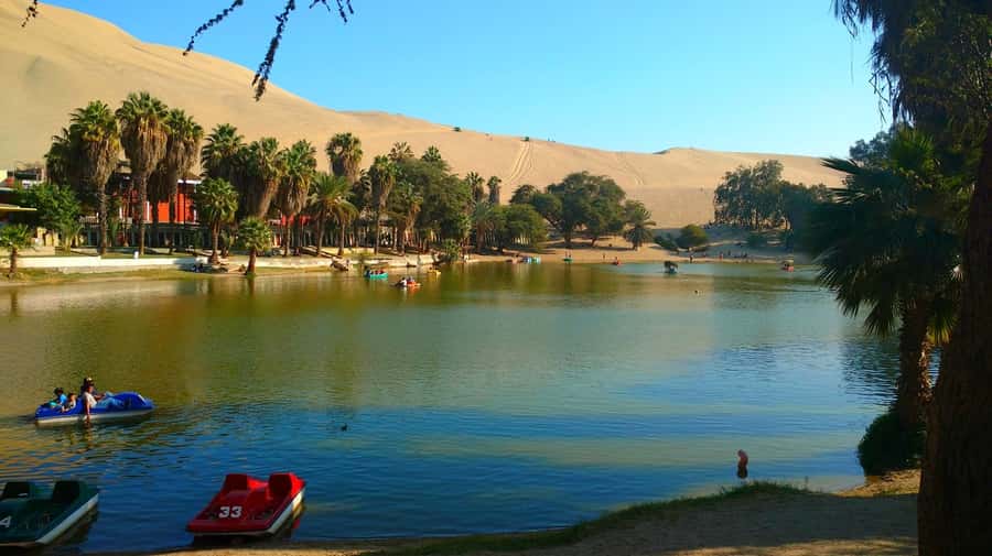 From Lima: Huacachina Oasis Tour, Winery & Desert Sunset - Winery stop in Ica: grape distillation, free tastings, and what lunch could mean