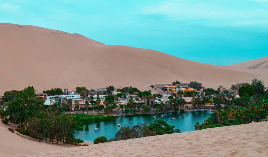 From Lima: Paracas and Huacachina Day Trip with Buggy Ride - Buggy ride and sandboarding: the adrenaline highlight on Ica’s dunes