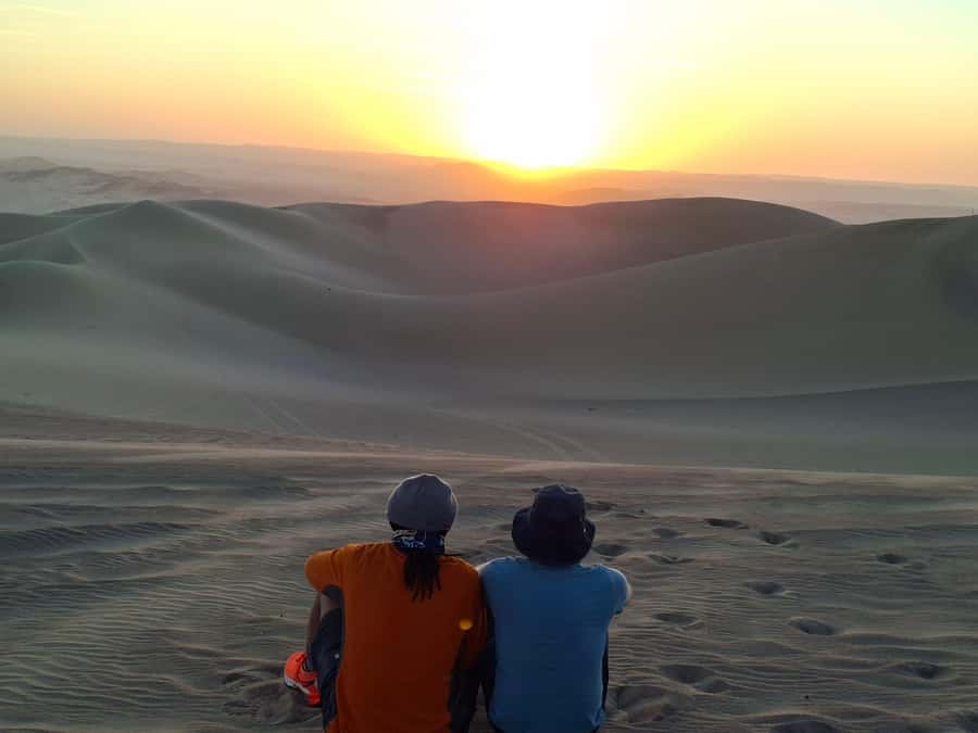 From Lima: Paracas and Huacachina Oasis Full Day Guided Tour - Why This Paracas and Huacachina Day Trip Works So Well