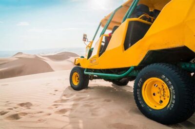 Paracas and Huacachina Oasis Full Day Guided Tour