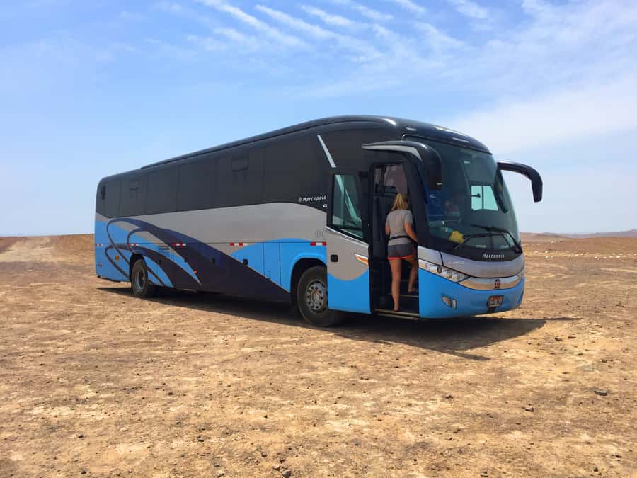 From Lima: Paracas and Huacachina Oasis Full Day Guided Tour - Price Value: What You Get for Around $59