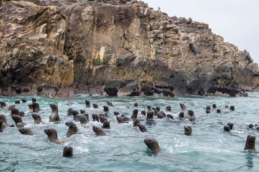 From Lima: Paracas and Huacachina Oasis Full Day Tour - A long Lima-to-Paracas start that actually makes sense
