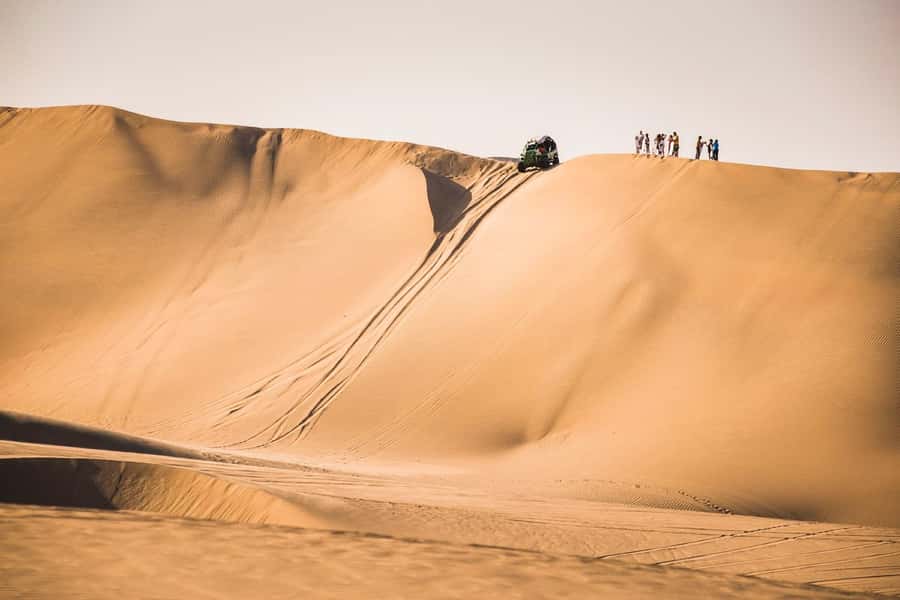 From Lima: Paracas and Huacachina Oasis Full Day Tour - Price and value: what you get for $65