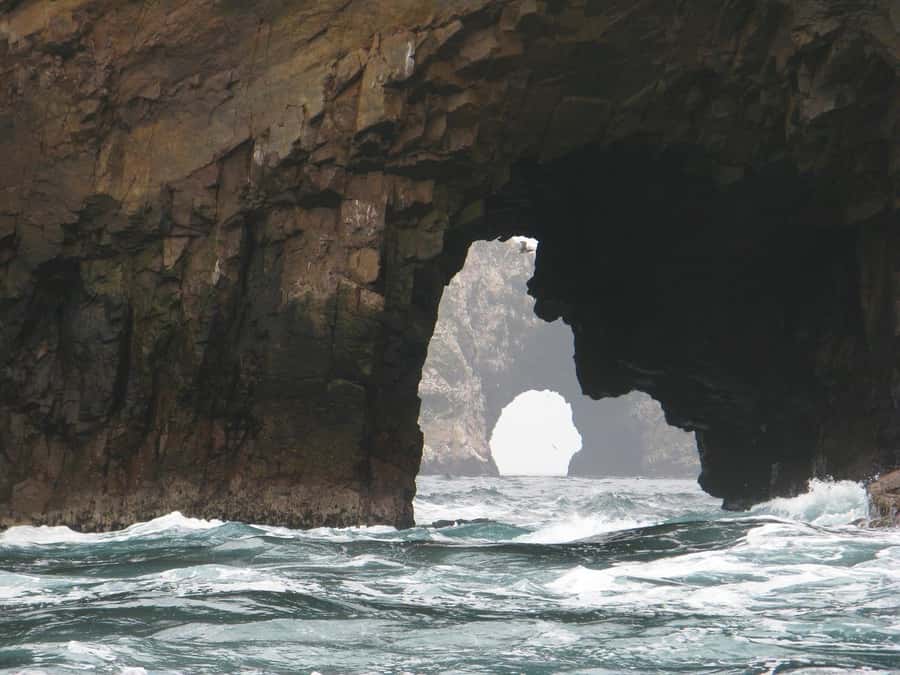 From Lima: Paracas and Huacachina Oasis Full Day Tour - Who this tour fits best