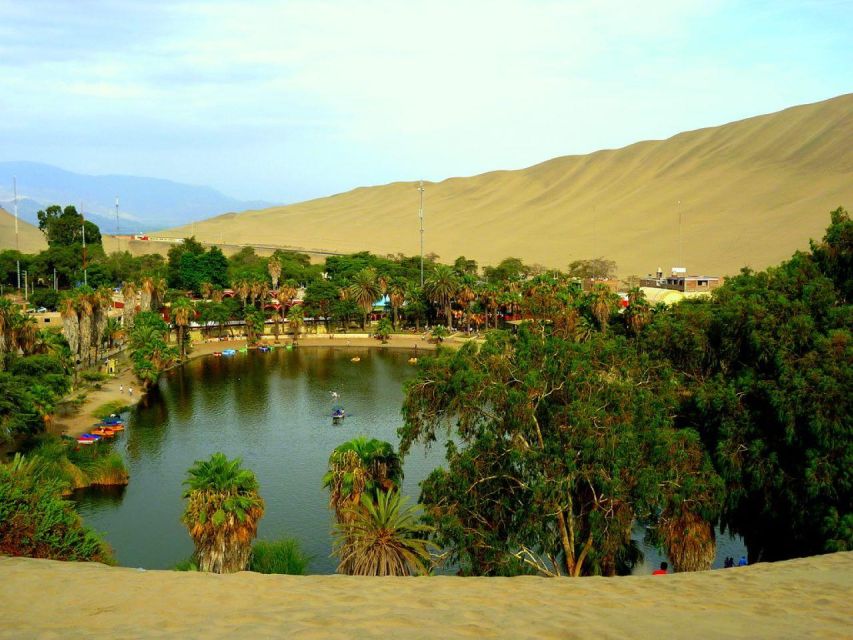 From Lima:Paracas Ballestas Islands and Ica Oasis 1 day Tour - What to Bring So the Day Feels Easier