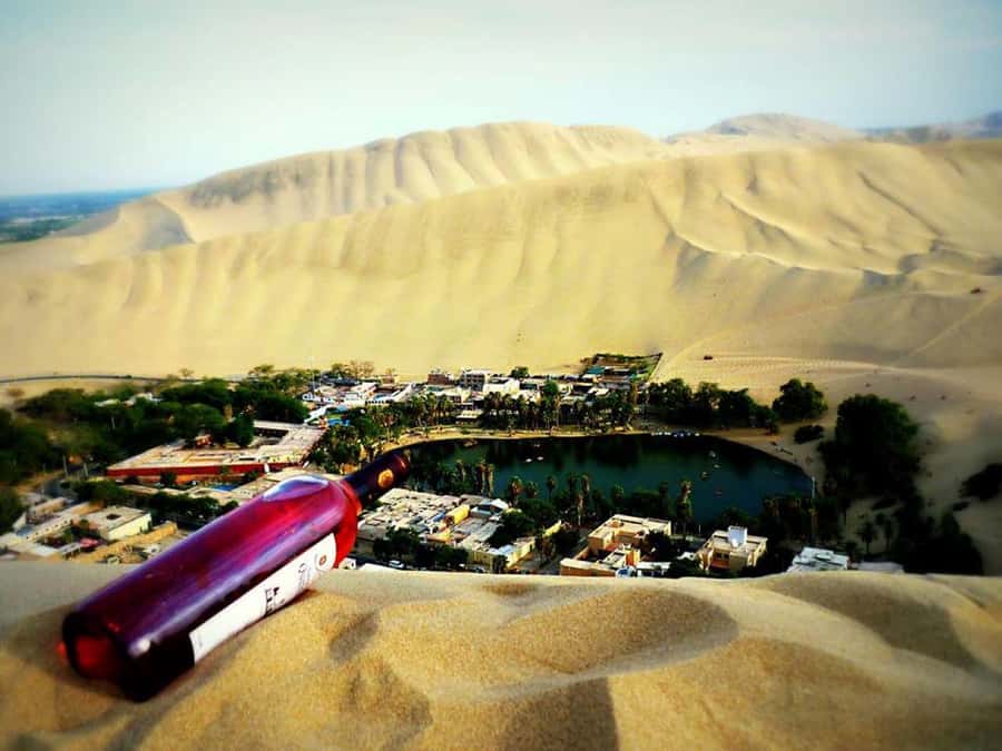 From Lima:Paracas Ballestas Islands and Ica Oasis 1 day Tour - The 4:30 am Pickup and Long Travel, Straight Up