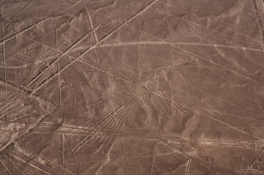 From Nazca: 35-Minute Flight Over Nazca Lines - Key Things That Make This Flight Worth It