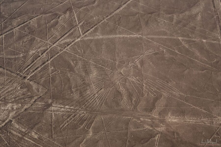 From Nazca: 35-Minute Flight Over Nazca Lines - Photos and Comfort: Seats, Bumps, and Motion Sickness Reality