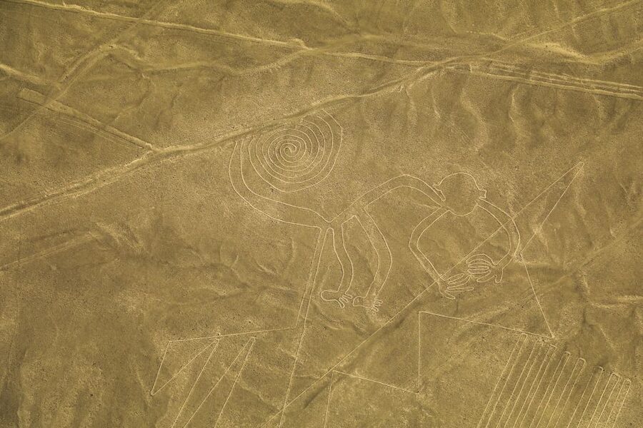 From Nazca: 35-Minute Flight Over Nazca Lines - After You Land: Shared Return Transfers and How to Not Lose Time