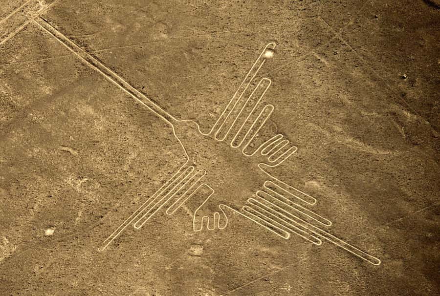 From Nazca: Flight in a light aircraft over the Nazca Lines - Key highlights to know before you go