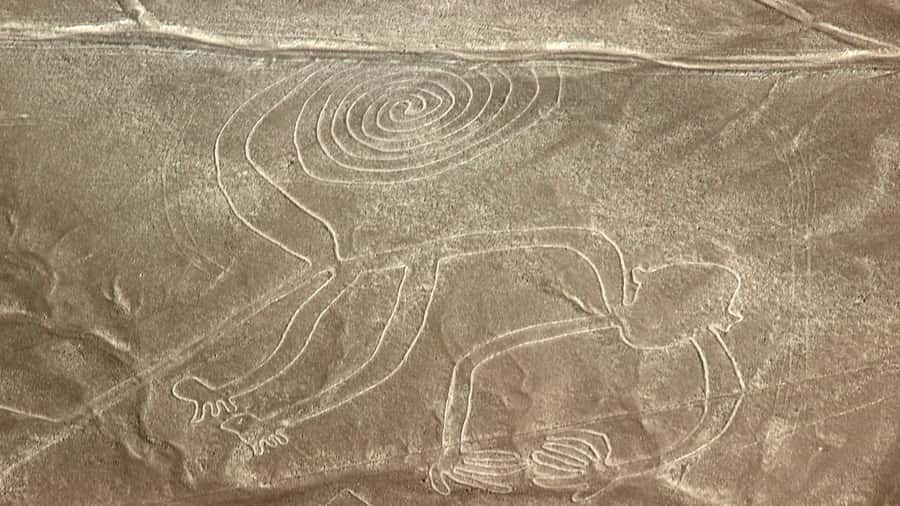 From Nazca: Flight in a light aircraft over the Nazca Lines - Nazca Lines From the Air: The View That Changes Everything