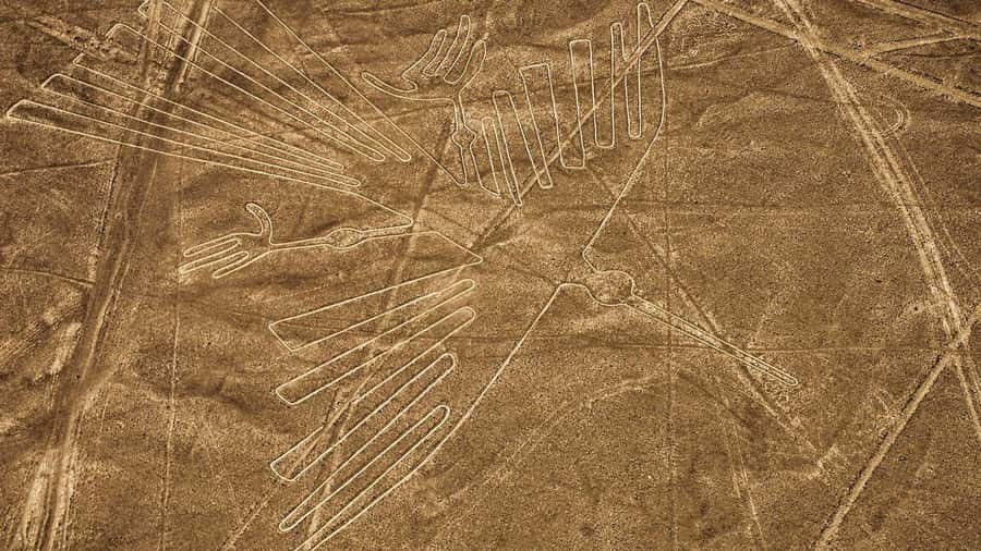 From Nazca: Flight in a light aircraft over the Nazca Lines - Who This Flight Suits (and Who Should Rethink It)