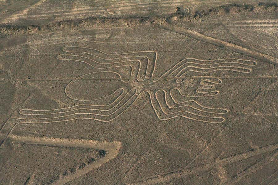 From Nazca: Flight in a light aircraft over the Nazca Lines - Nazca Hotel Pickup and Transfer to Maria Reiche Neumann Airport