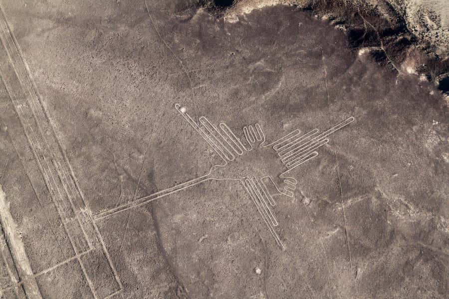 From Nazca: Small plane flight over the Nazca Lines - Cessna 207A Window Seats: Two-Sided Nazca Viewing