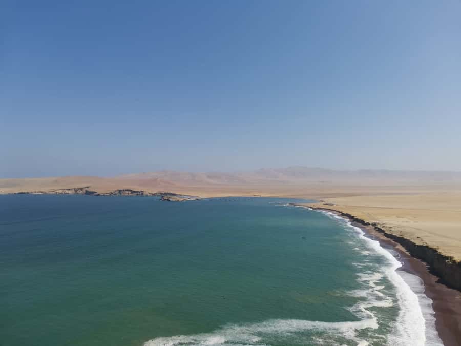 From Paracas: Ballestas Island Cruise & Paracas Reserve Tour - Price and Entrance Fees: Is $55 Good Value Here?