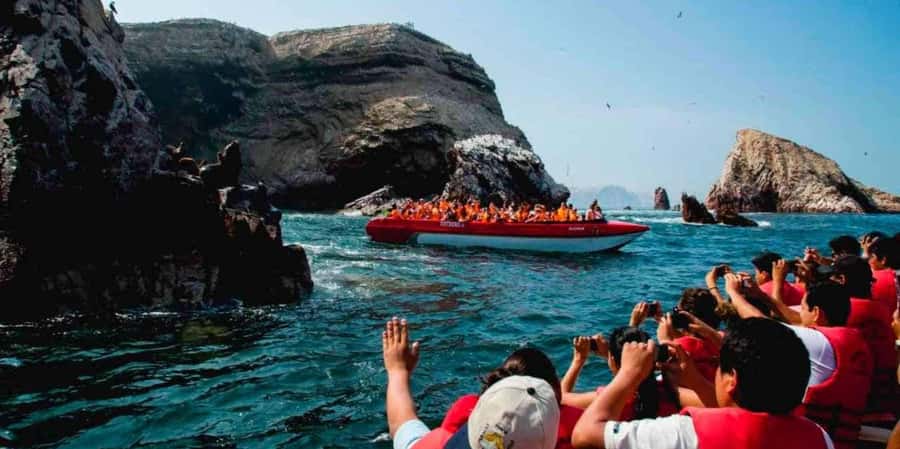 From Paracas: Ballestas Islands and Paracas National Reserve - Ballestas Islands Wildlife: Sea Lions, Humboldt Penguins, and Birds Everywhere