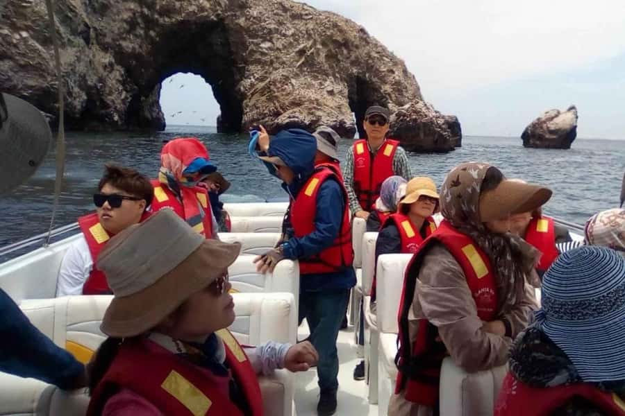 From Paracas: Ballestas Islands and Paracas National Reserve - Paracas National Reserve by Land: Desert Views and the Cathedral Rock