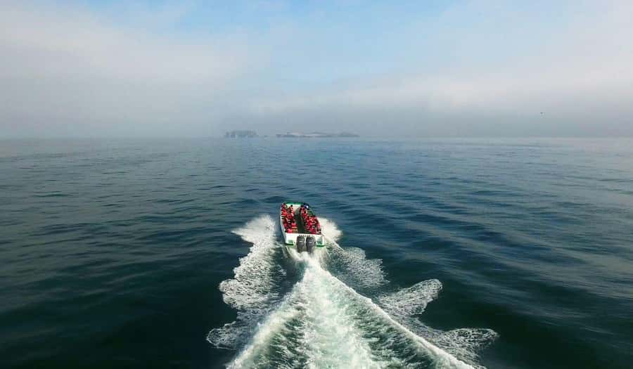 From Paracas: Ballestas Islands and Paracas National Reserve - What to Bring, and What to Do Before You Go