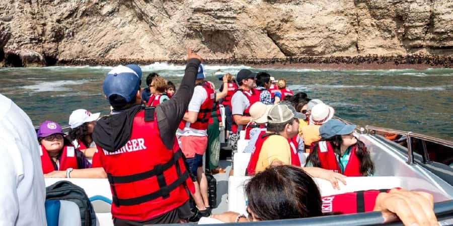 From Paracas: Ballestas Islands and Paracas National Reserve - Who Should Book, and Who Should Skip This Speedboat Day