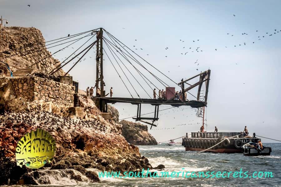 From Paracas: Ballestas Islands tour all Inclusive - Hotel Pickup and Marina Turística, The Part That Can Make or Break Your Day