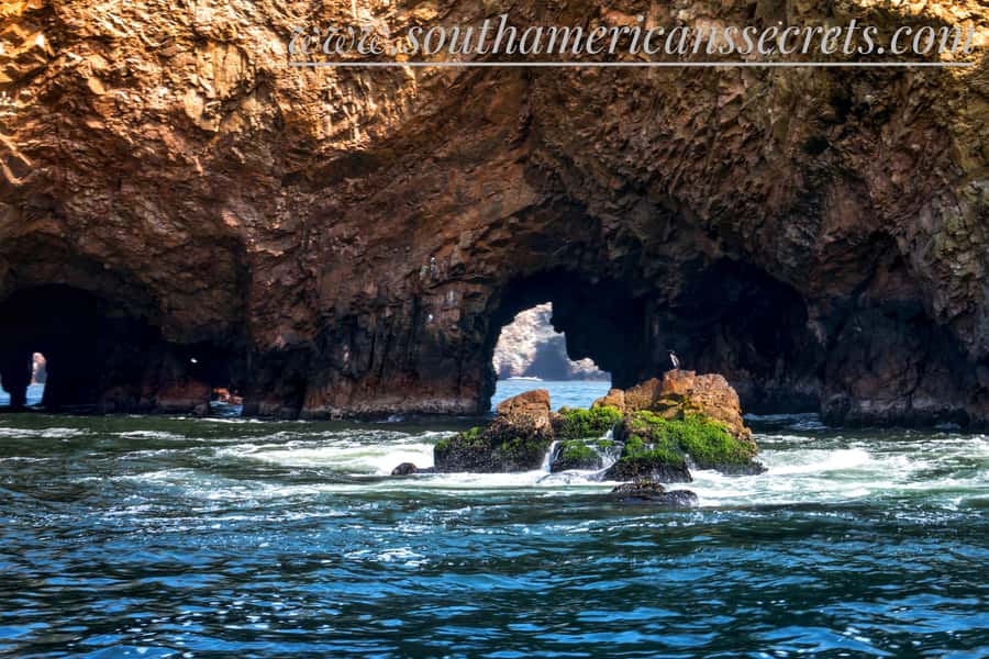 From Paracas: Ballestas Islands tour all Inclusive - Speedboat Legs and the Ballestas Island Wildlife Hour