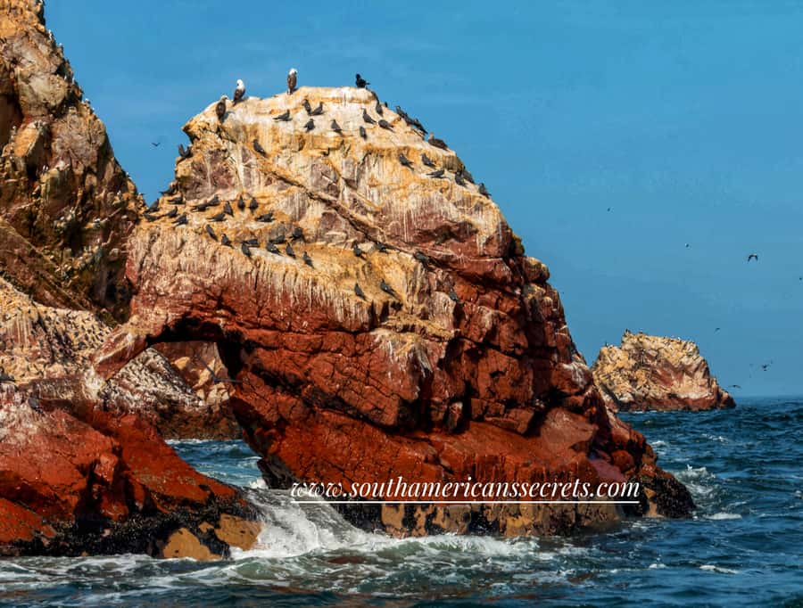 From Paracas: Ballestas Islands tour all Inclusive - The Candelabro de Paracas and Chandelier-Cactus Stop: A Quick Geoglyph Hit