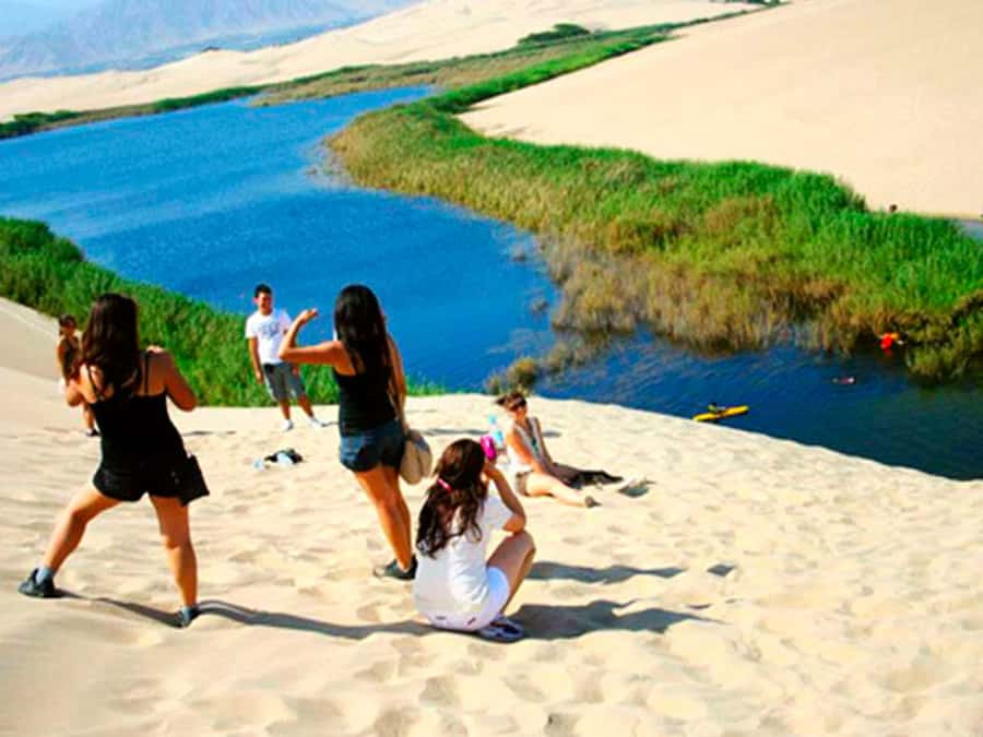 From Paracas: Mini Buggy Tour & Sandboarding at Oasis - Key Things You’ll Actually Care About