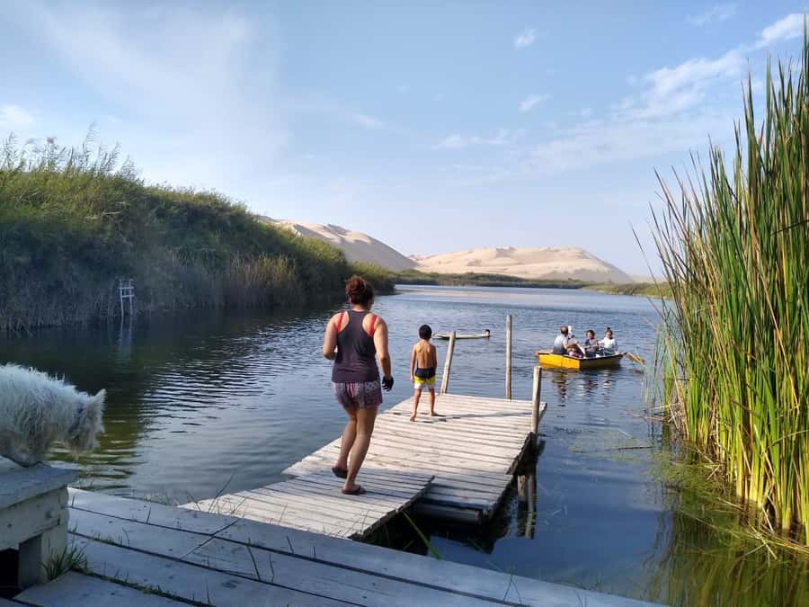 From Paracas: Mini Buggy Tour & Sandboarding at Oasis - FAQ