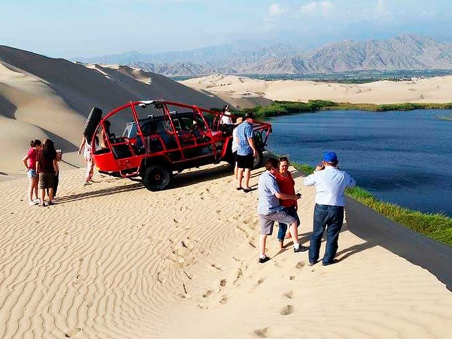 From Paracas: Mini Buggy Tour & Sandboarding at Oasis - Mini Buggy Through The Dunes: What The Ride Really Gives You