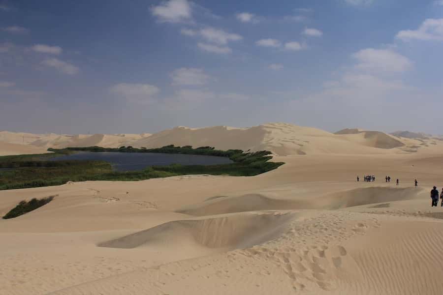 From Paracas: Mini Buggy Tour & Sandboarding at Oasis - What A 3-Hour Tour Feels Like: Timing, Flow, And Return