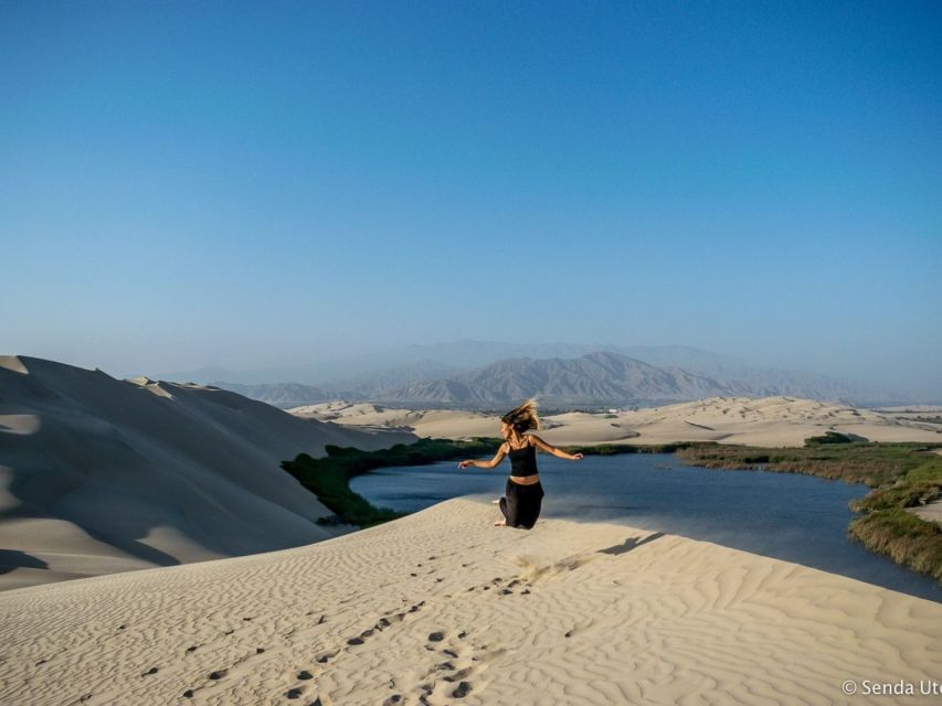 From Paracas: Mini Buggy Tour & Sandboarding at Oasis - Price And Value: Is $83 Worth It For What You Get?