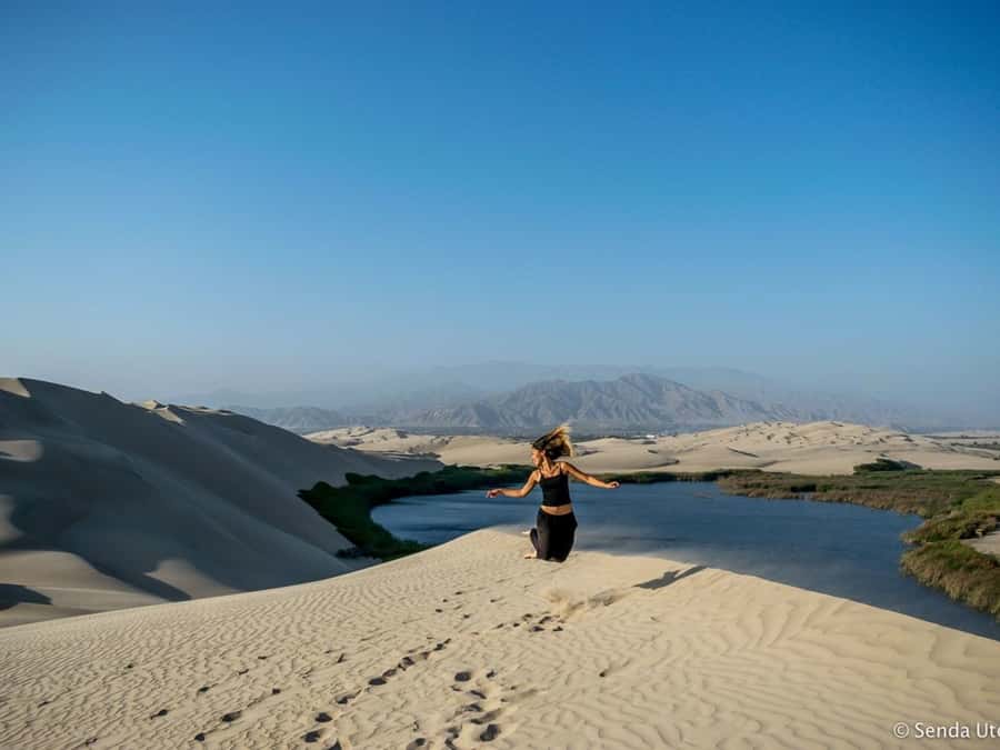 From Paracas: Mini Buggy Tour & Sandboarding at Oasis - Should You Book This Mini Buggy Tour And Sandboarding At Oasis?