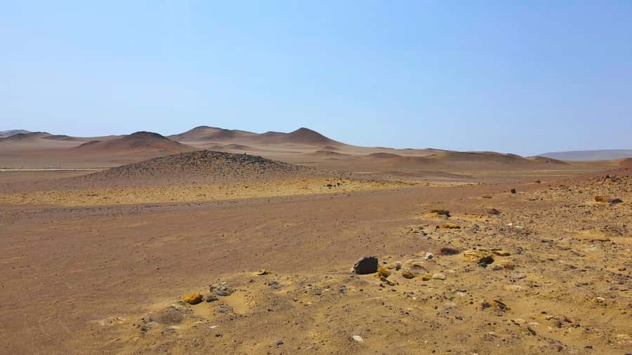 From Paracas: Paracas National Reserve Private Tour - What makes the scenery here so special: birds, sea lions, and the geology after the 2007 quake