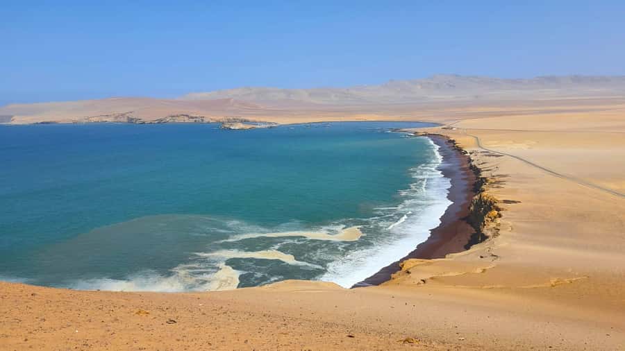 From Paracas: Paracas National Reserve Private Tour - Ballestas boat ride: what you’ll likely see on the shared crossing