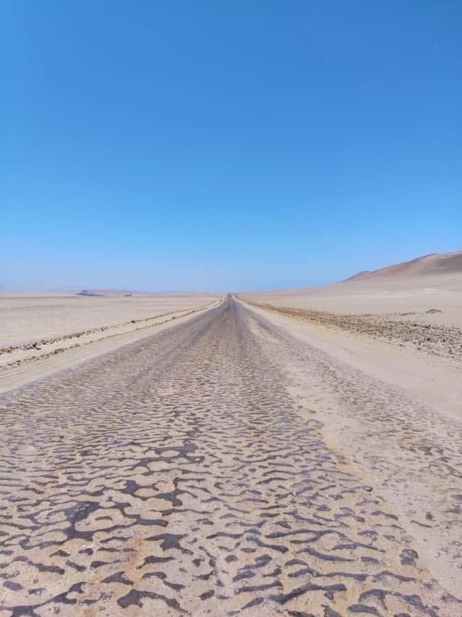 From Paracas: Paracas National Reserve Private Tour - Price and value: what’s included, what costs extra, and how to pay