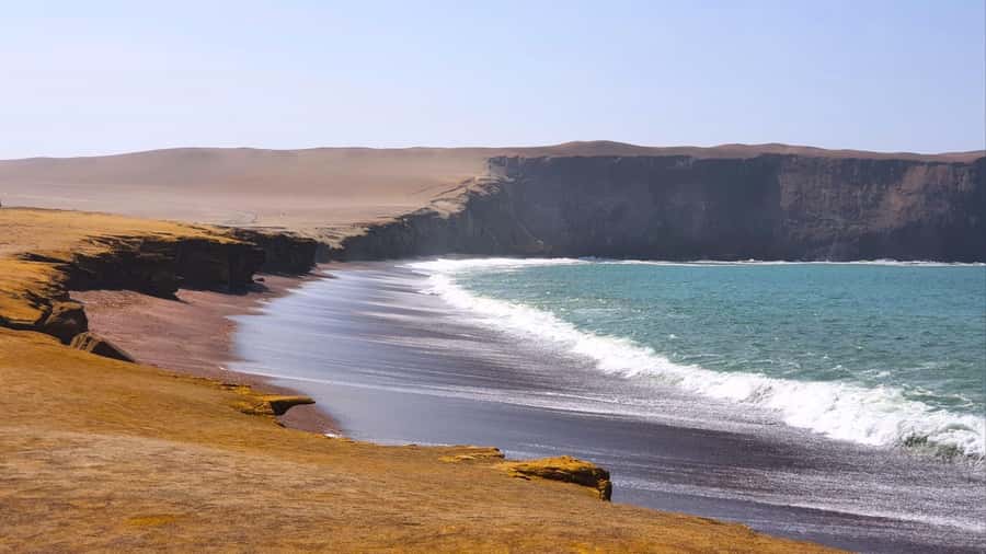 From Paracas: Paracas National Reserve Private Tour - Who this private group Paracas tour fits best