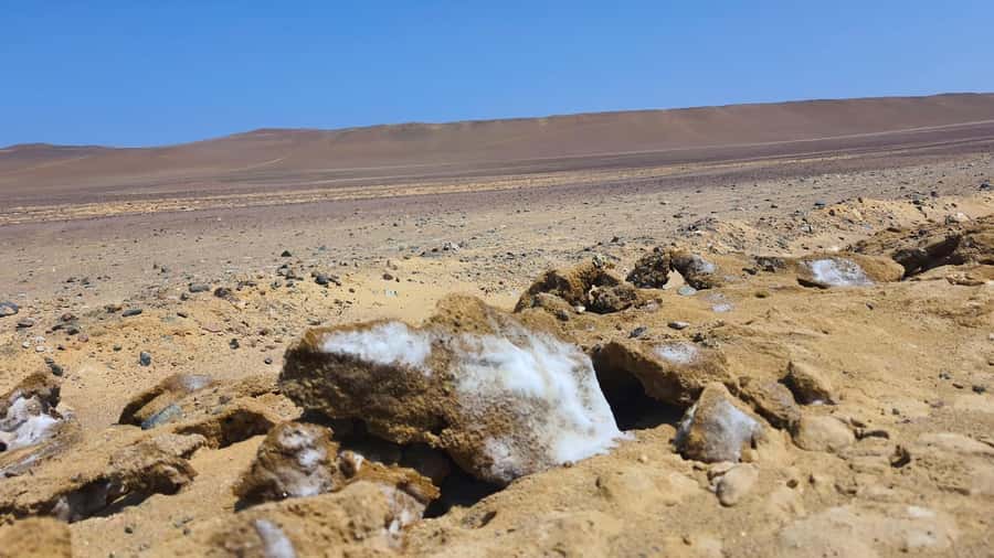 From Paracas: Paracas National Reserve Private Tour - The 3-hour flow: pickup, visitor center, rock views, beaches, then Ballestas by boat