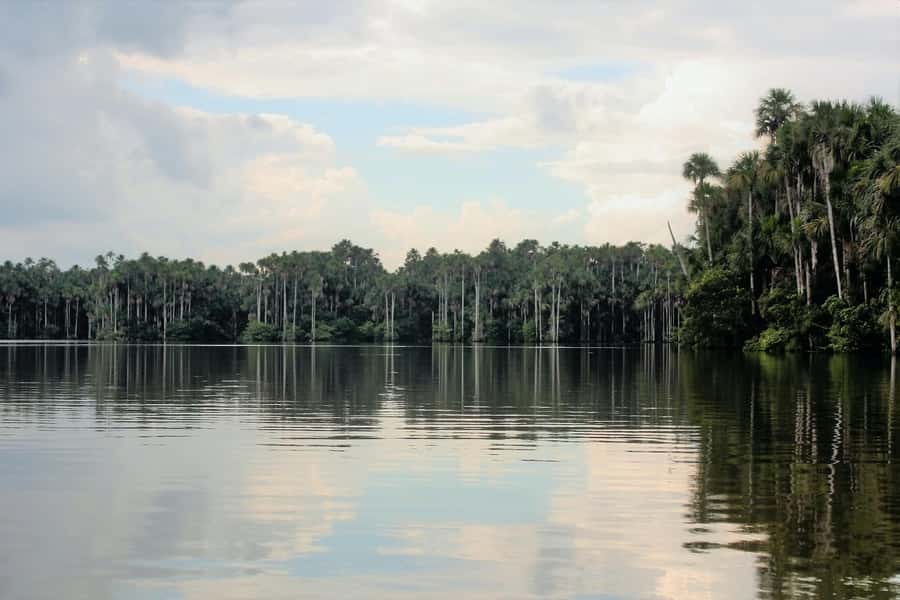 From Puerto Maldonado - Tambopata 4D/3N - Day 2 sunrise at Collpa Chuncho: the clay lick show