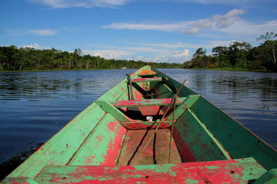 From Puerto Maldonado - Tambopata 4D/3N - Price and logistics: what you pay for, and what you need to budget